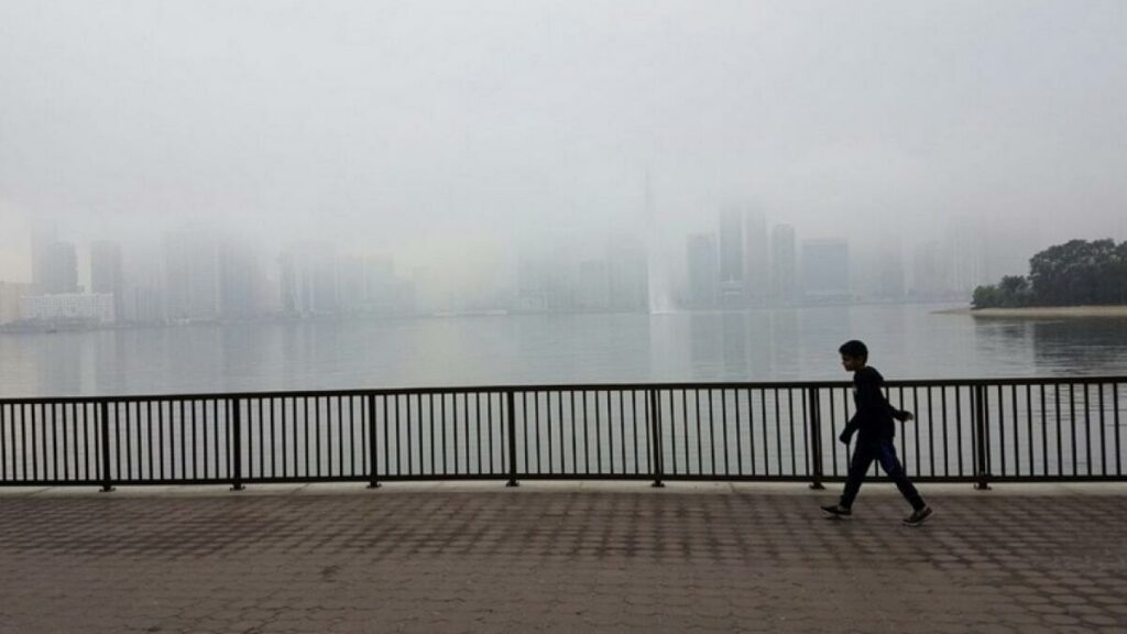 UAE weather: Red, yellow alerts issued for fog this morning