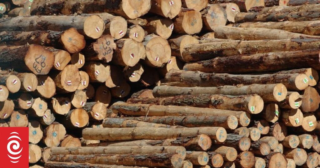 NZ Forestry ‘struck to our knees’ by weak post-Chinese New Year demand
