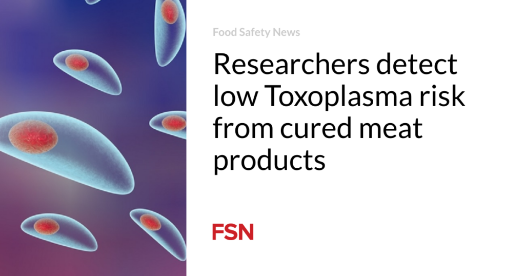 Researchers detect low Toxoplasma risk from cured meat products