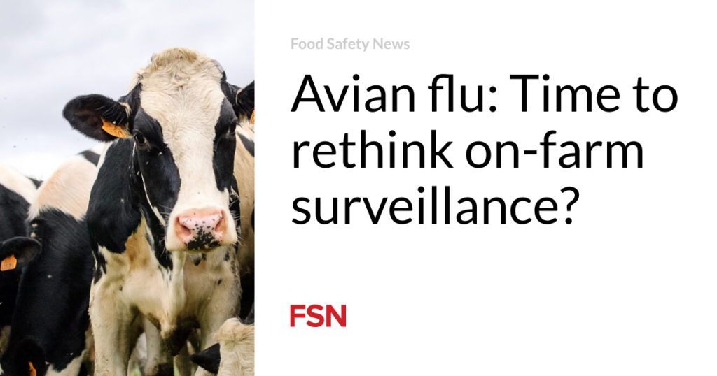 Avian flu: Time to rethink on-farm surveillance?