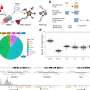 Epigenomic analysis sheds light on risk factors for amyotrophic lateral sclerosis