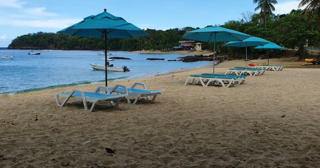 Tobago authorities condemn ‘indiscriminate’ shark killings | Local News | trinidadexpress.com