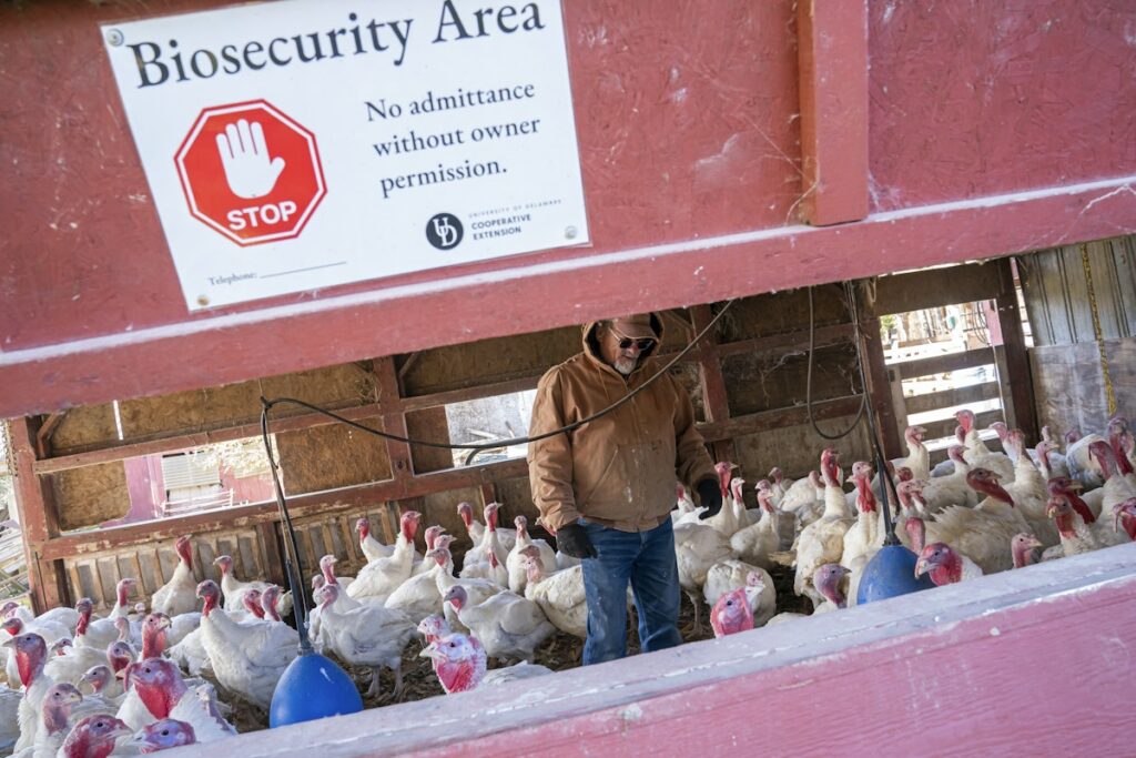 What’s More Deadly—a New H5N1 Flu or the Republican Party?