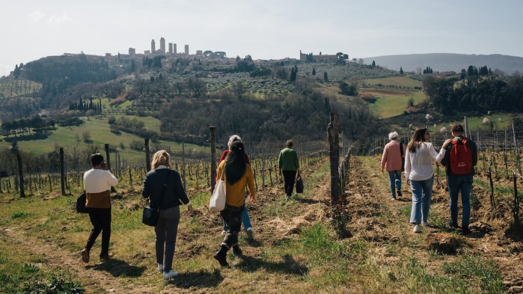 How to taste your way through Tuscany