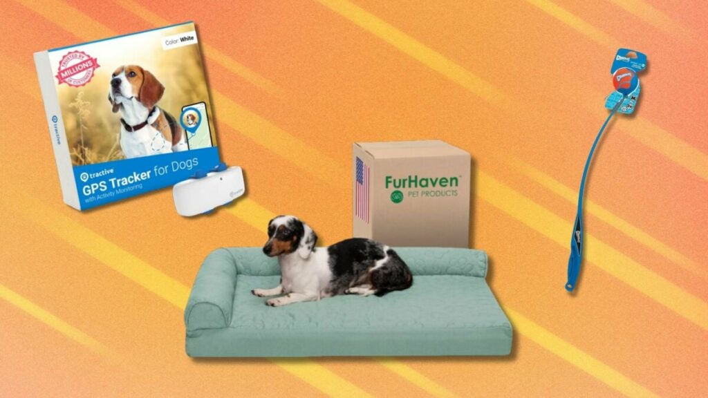 Amazon’s Pet Day deals are here with big savings on essentials for furry family members