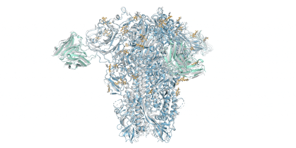 Google DeepMind’s new AlphaFold can model a much larger slice of biological life