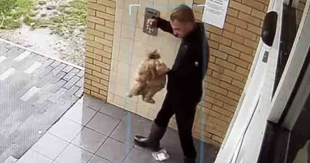 Thug who brutally beat, choked and strangled terrified Cockapoo escapes jail