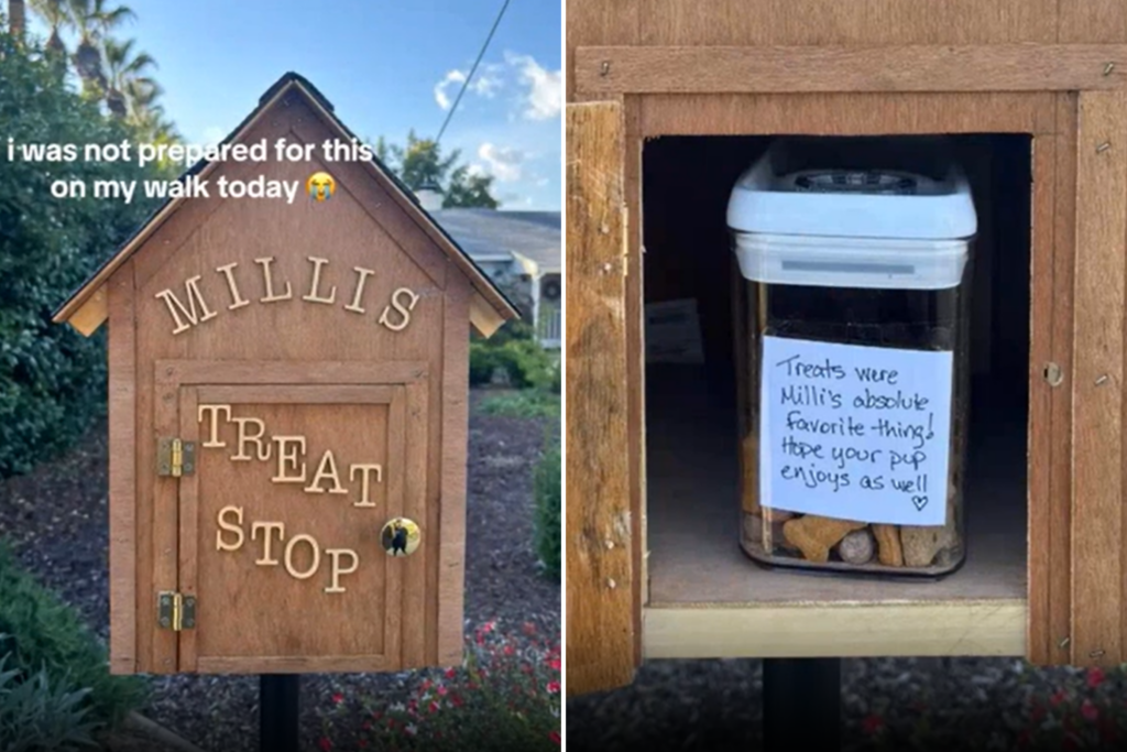 Woman Spots Dog ‘Treat Stop’ During Walk, Not Prepared for What’s Inside