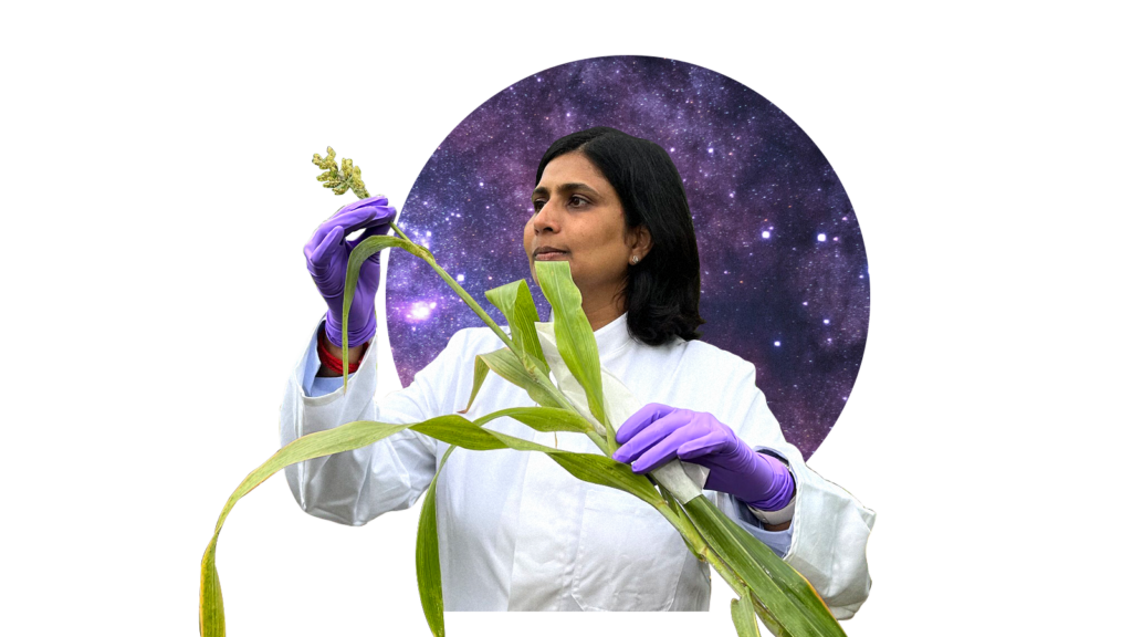 Can the harsh conditions of space breed more resistant crops for Earth?