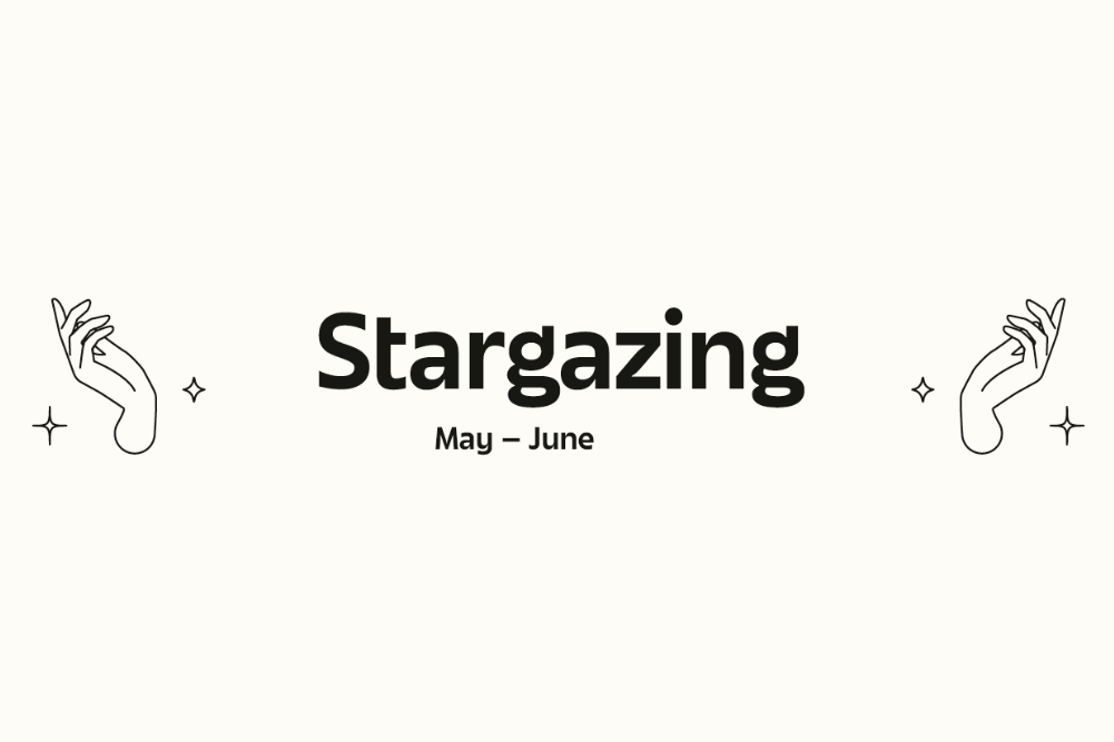 Stargazing: Your May & June Horoscope