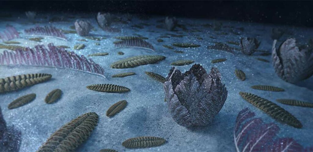 Stirring evolution: How Earth’s ancient sea creatures shaped change