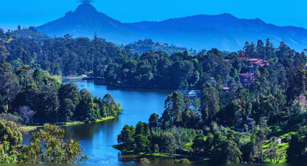 Kodaikanal: 5 best things to do if you are in town for 61st Kodai Vizha