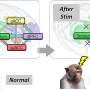 Researchers discover top-down signals in brain circuits regulating depression