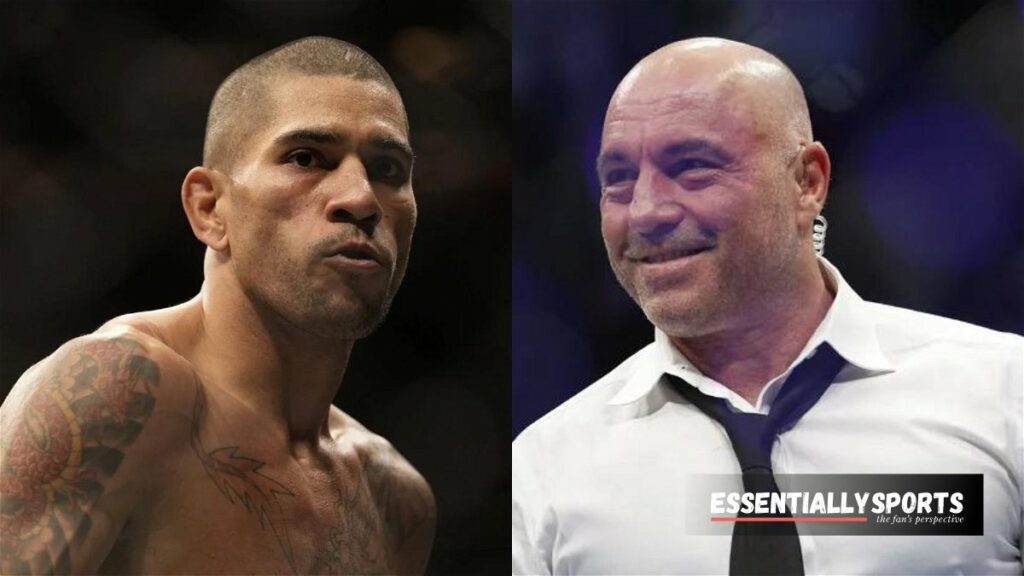 Against Popular Belief, Joe Rogan & Royce Gracie Vet Alex Pereira’s Grappling – “Got His Black Belt From Glover”