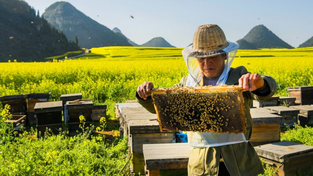 Can a spoonful of honey keep seasonal allergies at bay?