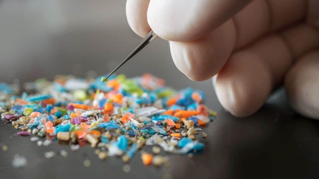 Scientists detected 23 types of microplastics in the testicular tissue