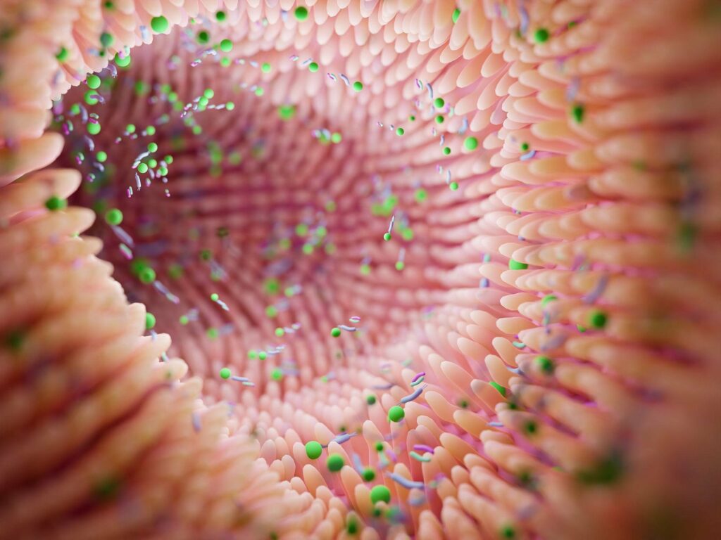 New Research Suggests That Your Gut Bacteria Could Impact Your Decision-Making