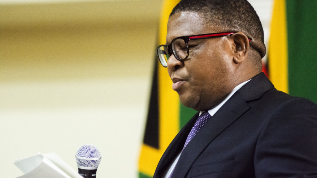 AfriForum goes after Mbalula over luxury Dubai holiday