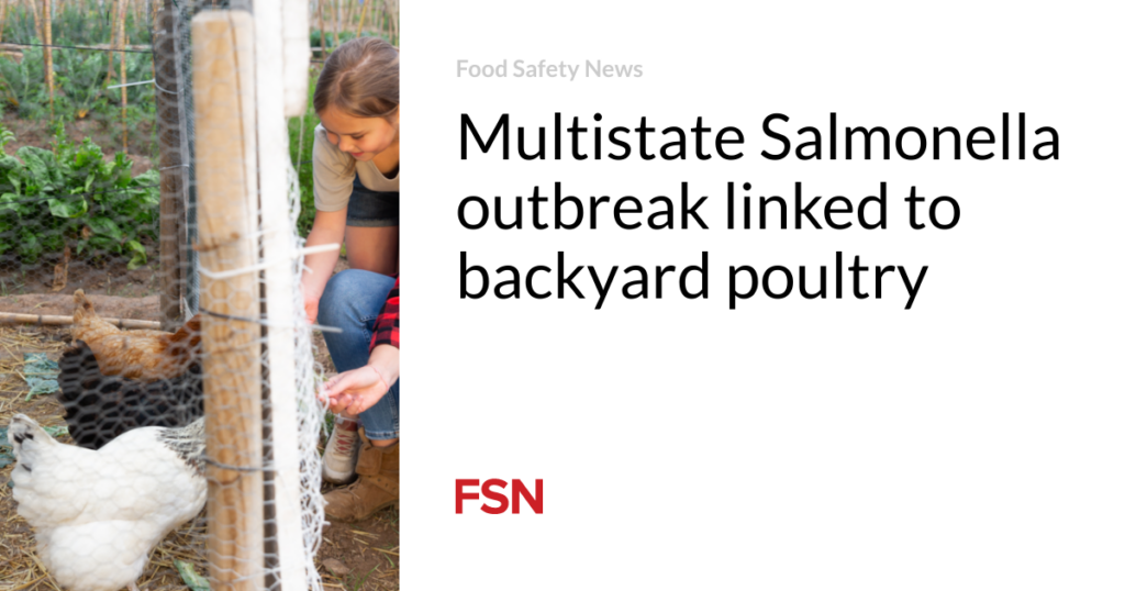 Multistate Salmonella outbreak linked to backyard poultry