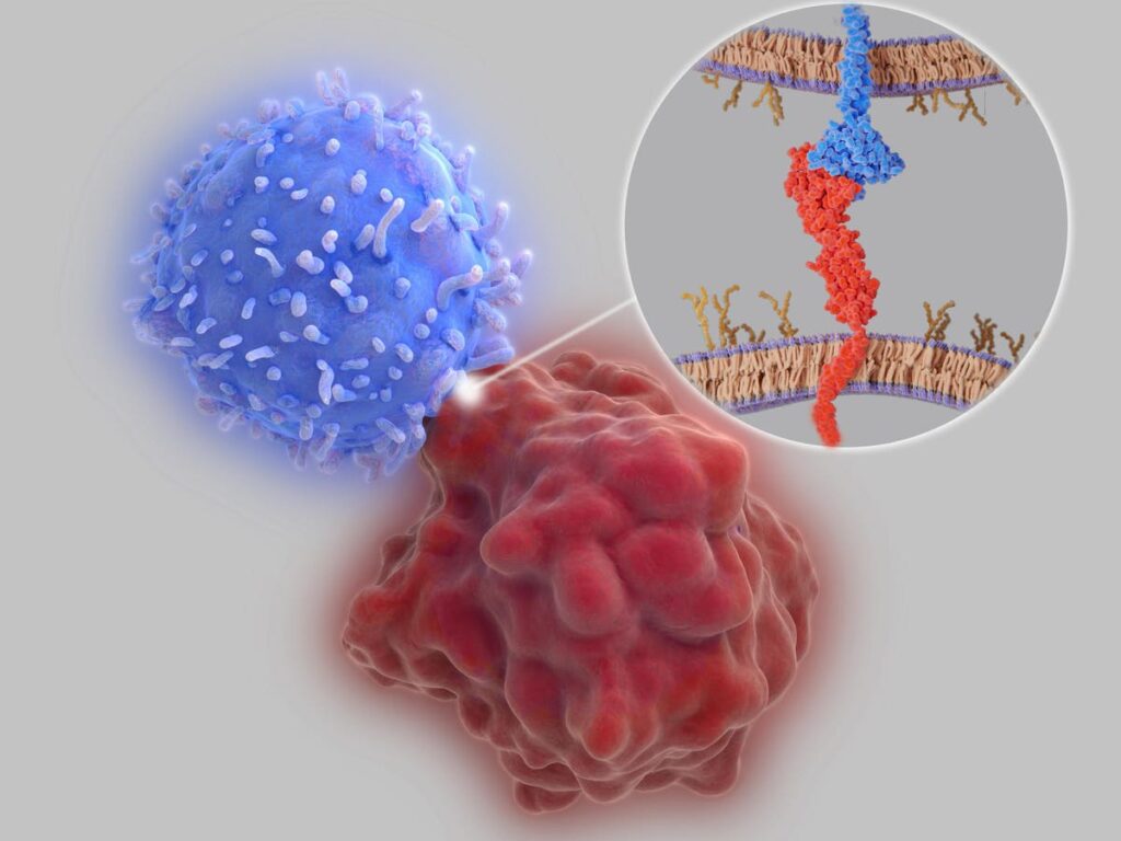 Pembrolizumab: Frequently Used Alone Or With Other Cancer Treatments