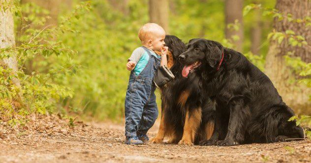 Ten Incredibly Unsettling Stories of Feral Children