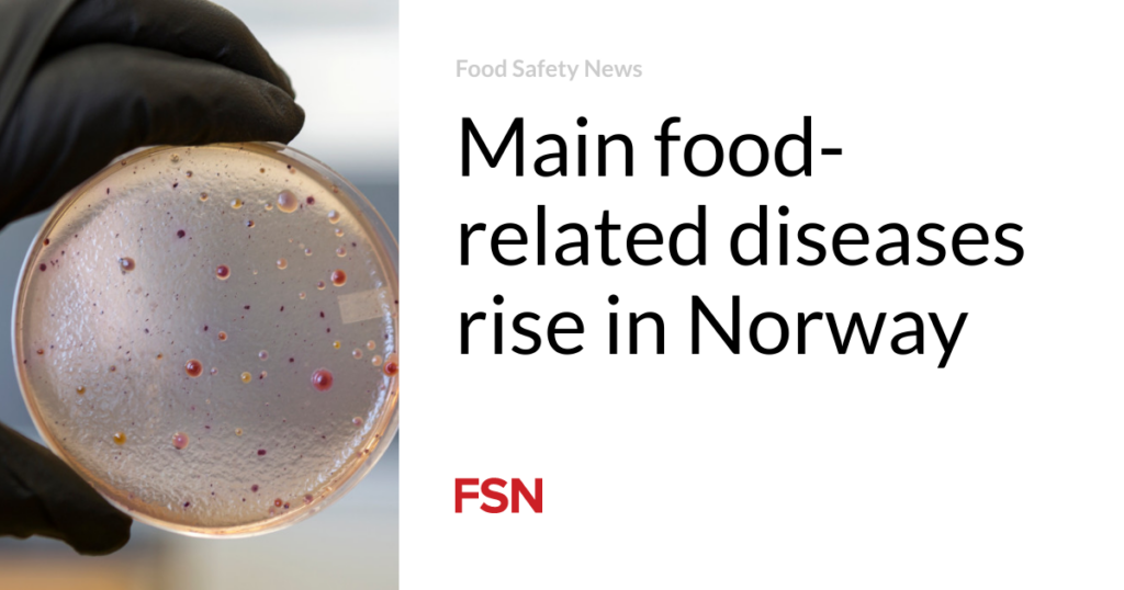 Main food-related diseases rise in Norway