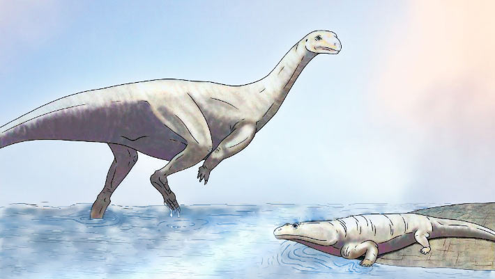 New Sauropodomorph Dinosaur Unearthed in Zimbabwe