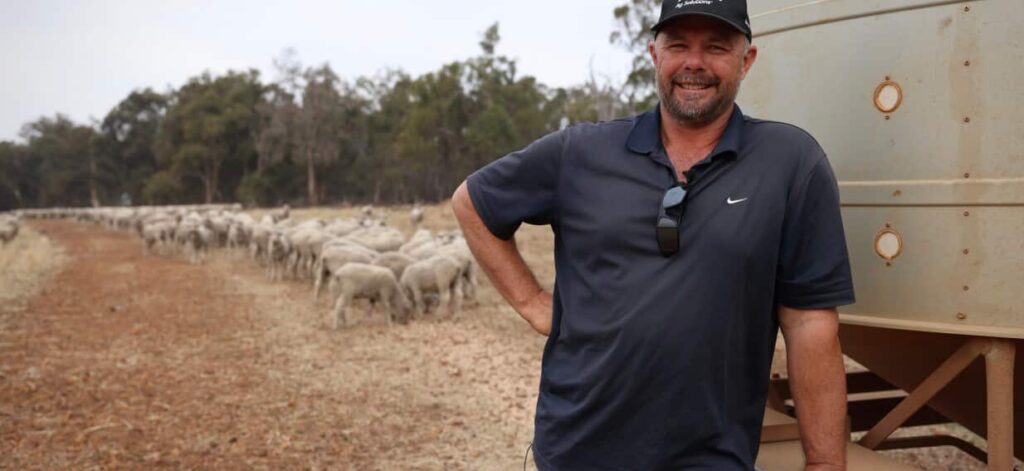 Sheep farming is all Scott knows — but his future is now uncertain