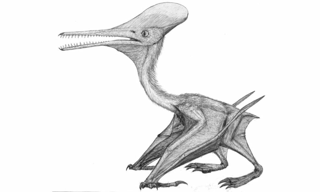 Jurassic Giant Revealed: Massive Pterosaur Fossil Unearthed in Oxfordshire, UK