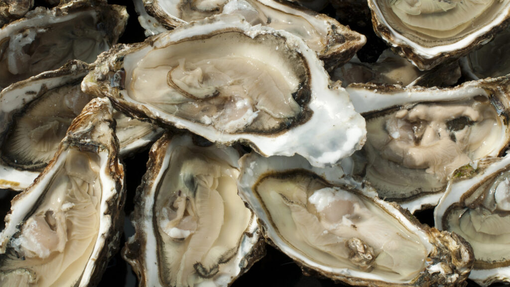 Climate change is coming for your oysters