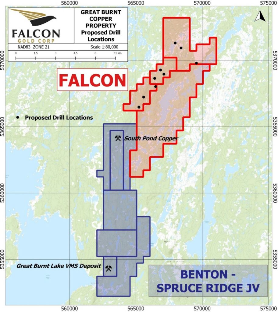 Falcon Gold to commence drill program at Great Burnt, NL