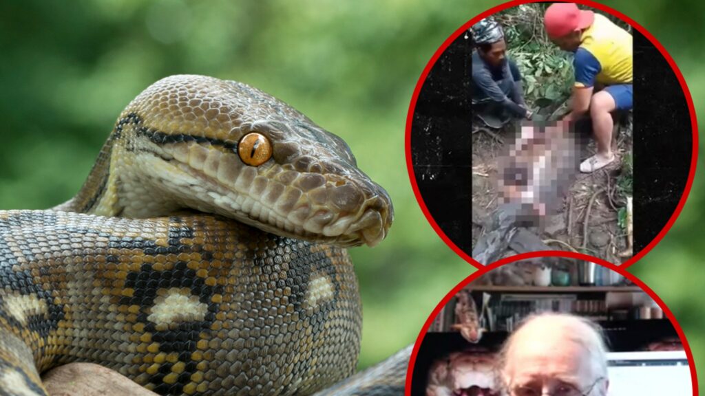 Snake Expert Gives Horrifying Detail of Python Eating Woman