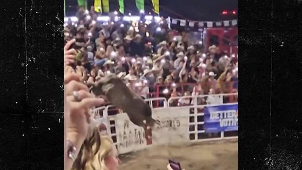 Oregon Rodeo Bull Won’t Be Put Down Following Rampage, Officials Say