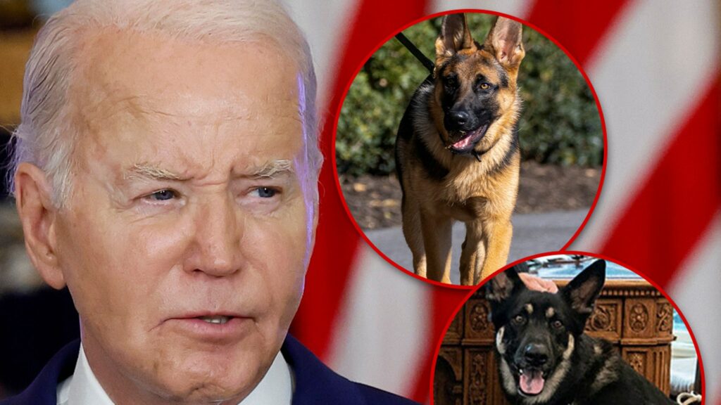 President Biden Present For Multiple Dog Bites On Secret Service Agents