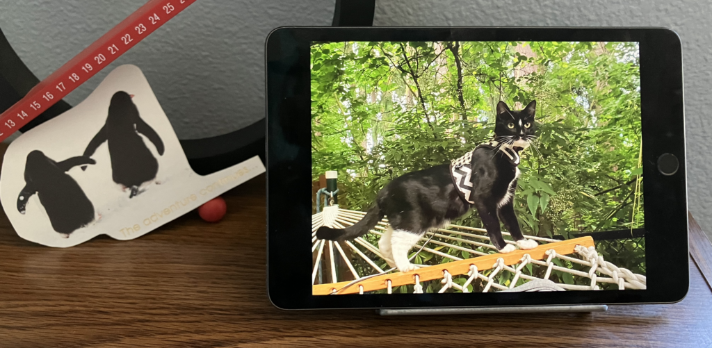 Turn your old iPad into a digital picture frame