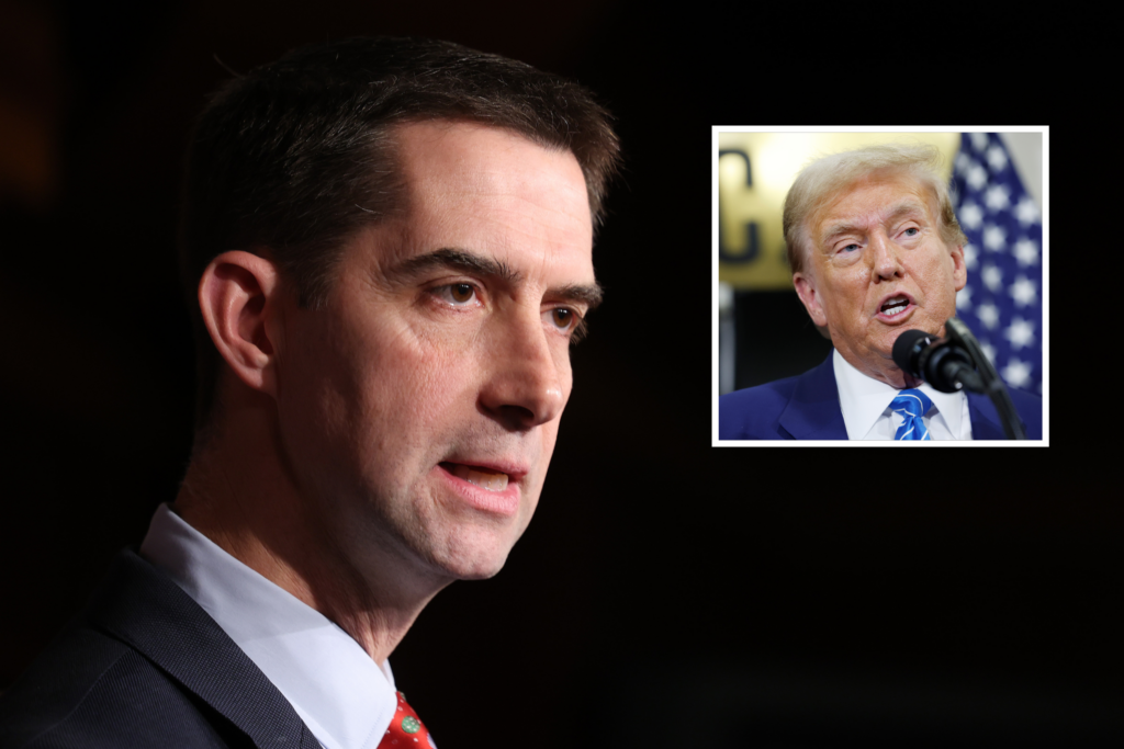 Tom Cotton Confronted With 2020 Remark on Trump Peacefully Leaving Office