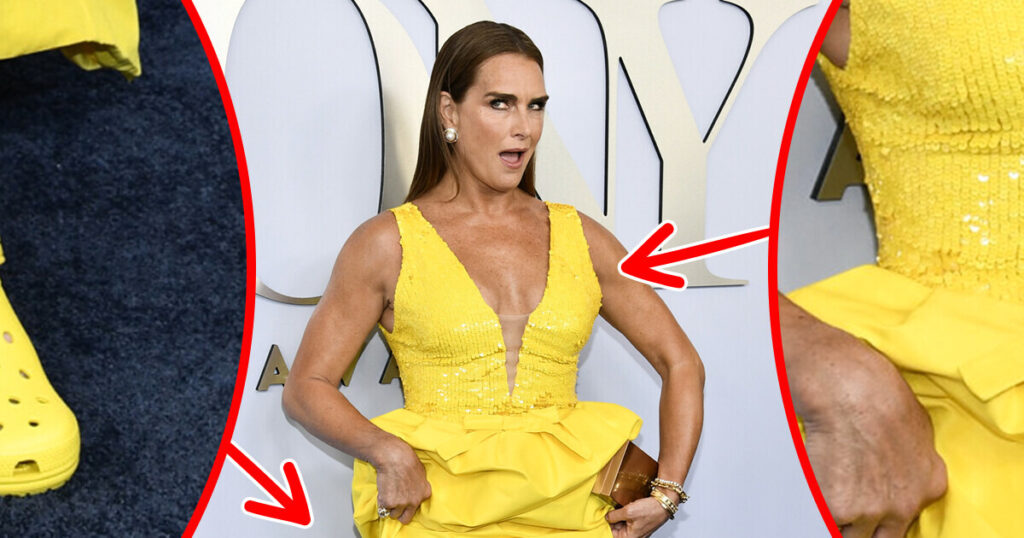 Brooke Shields Stole the Show on the Red Carpet, but Many People Noticed Some Odd Details