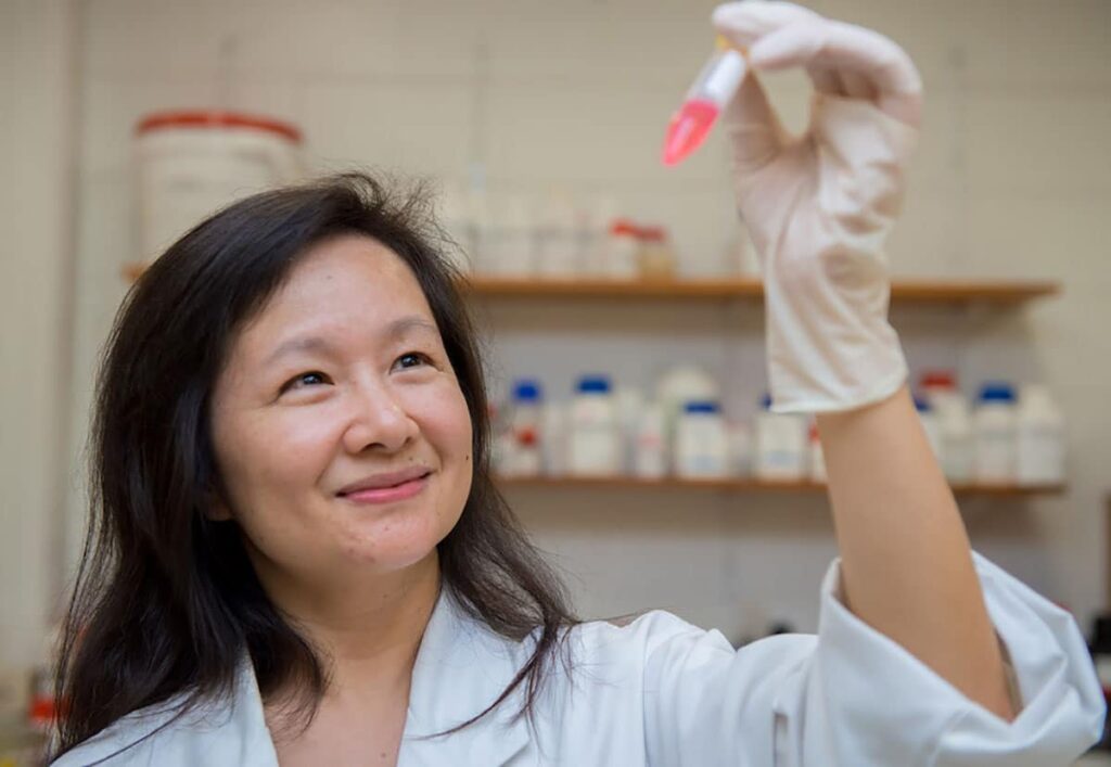 Innovative quantum material for eco-friendly methanol conversion