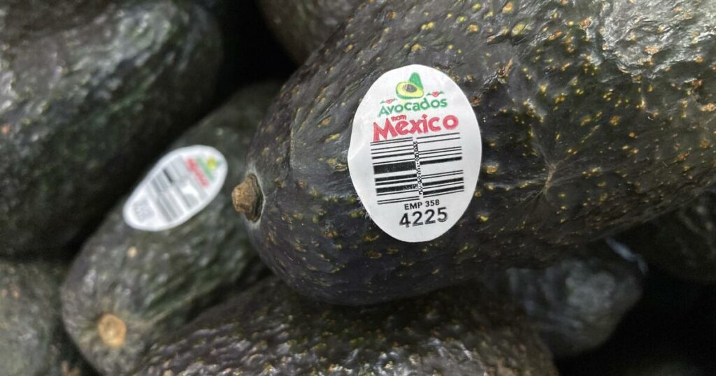 U.S. says avocado inspections may resume in troubled Mexican state, opening way for imports