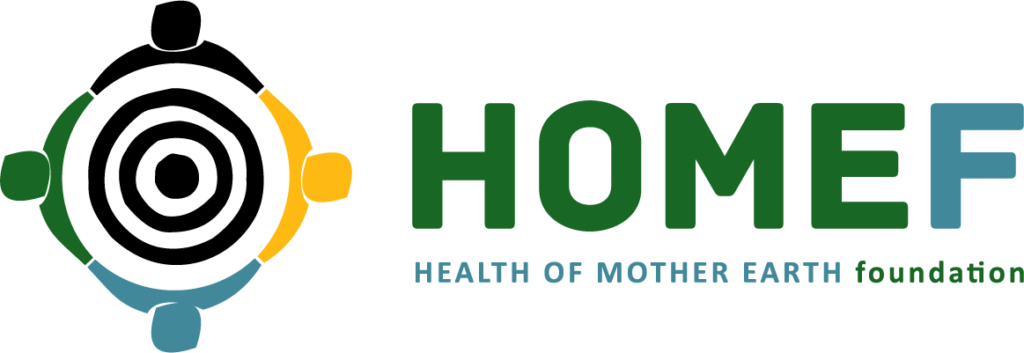 HOMEF: Unchecked Mineral Extraction Will Cause Ecological Damage To Nigeria