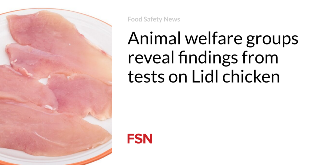 Animal welfare groups reveal findings from tests on Lidl chicken