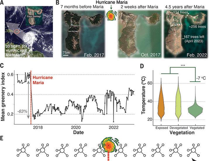 Ecological disturbance alters the adaptive benefits of social ties | Science