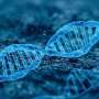 Study shows familiarity with gene editing increases approval of the safety of GMOs