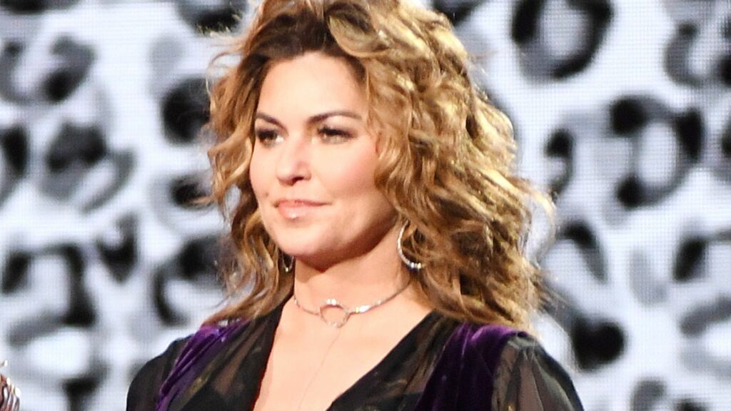 Shania Twain is a rock chick in skintight leather flares and sheer bodysuit