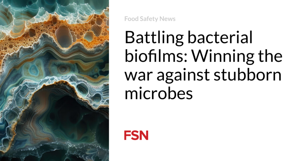 Battling bacterial biofilms: Winning the war against stubborn microbes