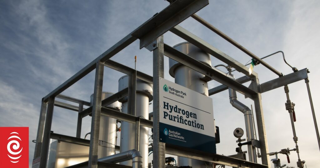 Green hydrogen: Australian demonstration closely watched by NZ firm