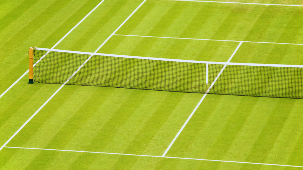 Wimbledon winners: The stats behind what makes a tennis champion