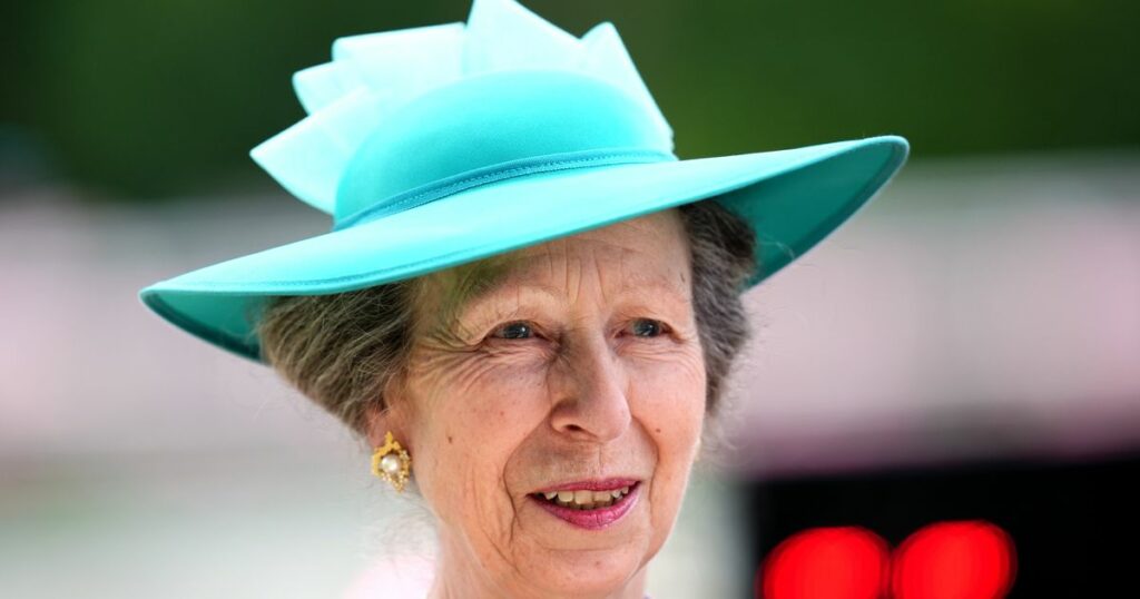Princess Anne Shares First Statement Following Hospitalization