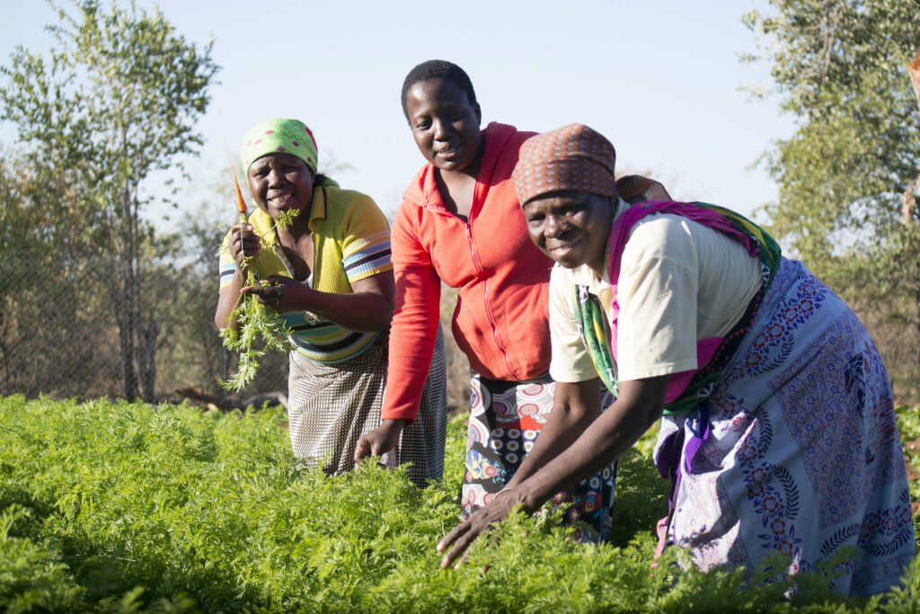 Finance flowing for locally led climate adaptation