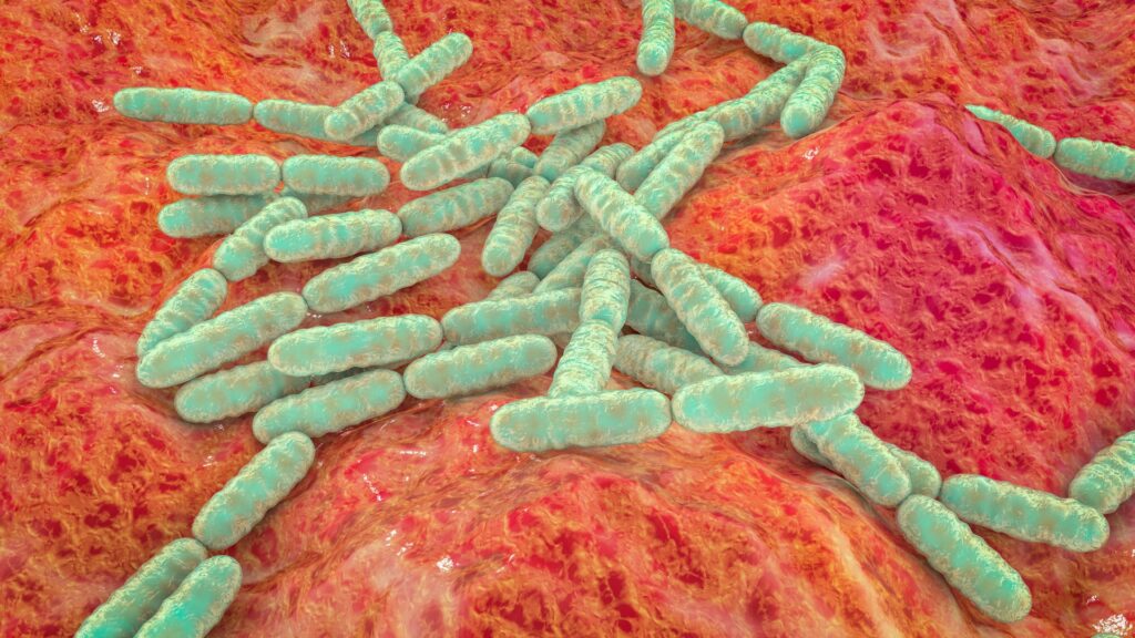 The gut microbiome has a circadian rhythm. Here’s how it might affect your health.